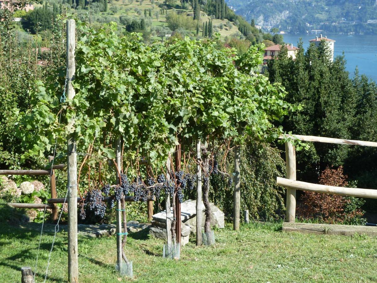 فيلا Bellagio Il Crotto المظهر الخارجي الصورة