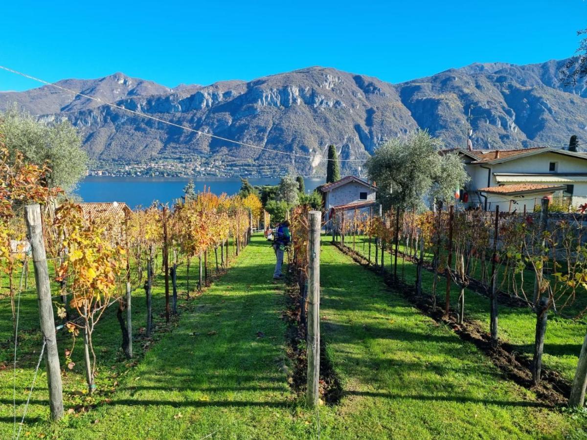 فيلا Bellagio Il Crotto المظهر الخارجي الصورة