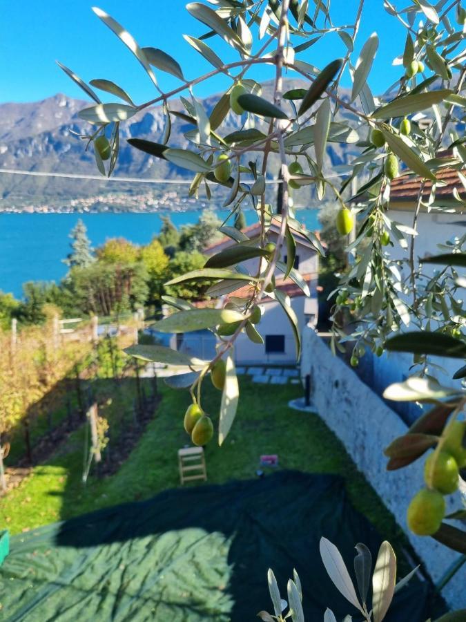 فيلا Bellagio Il Crotto المظهر الخارجي الصورة